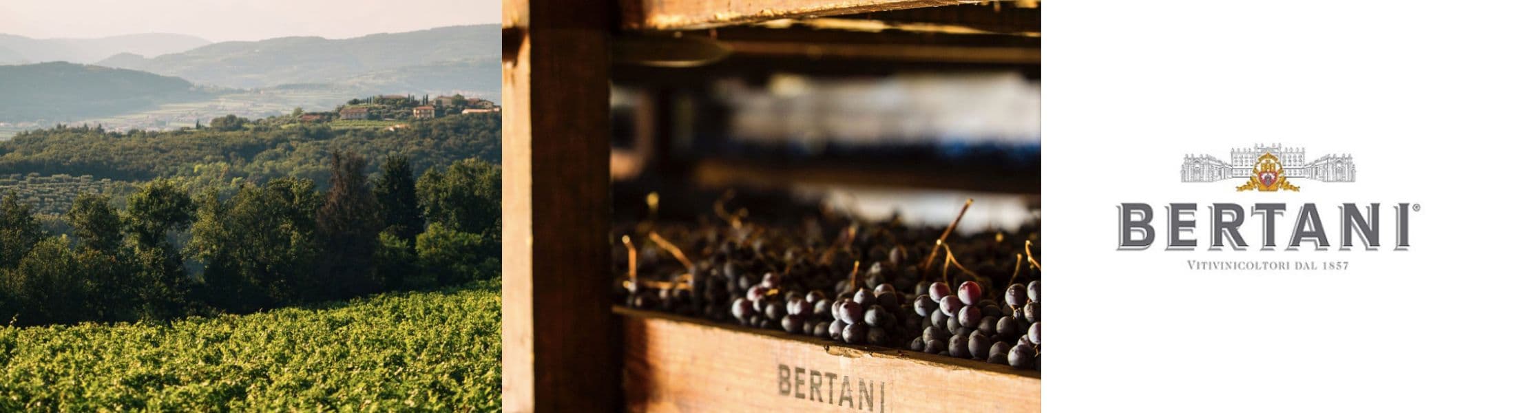 Bertani