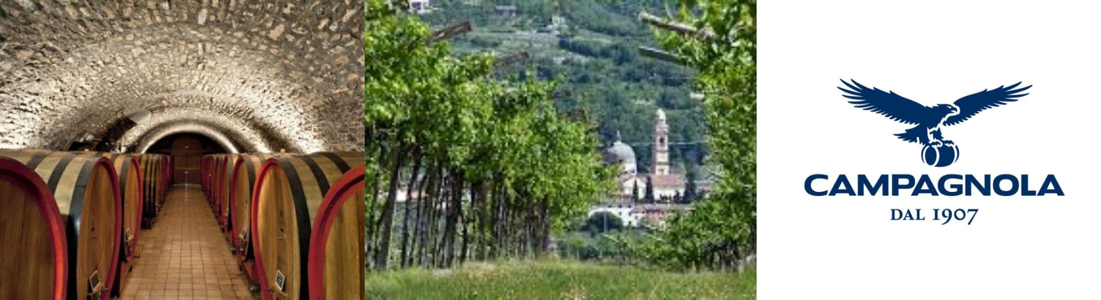 Campagnola