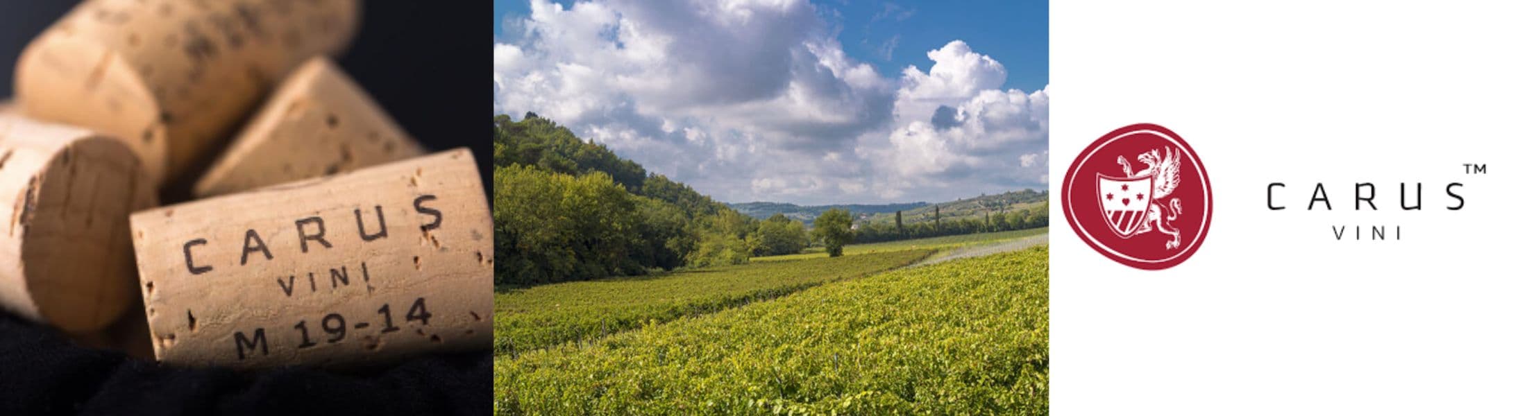 Carus Vini