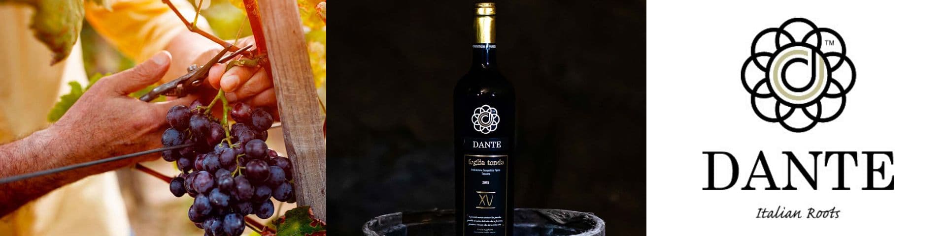 Dante