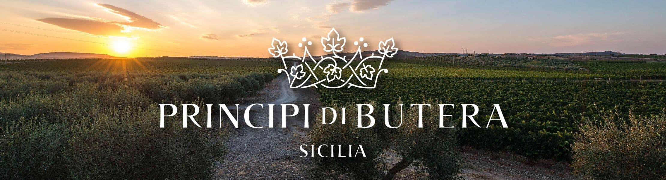 Principi di Butera