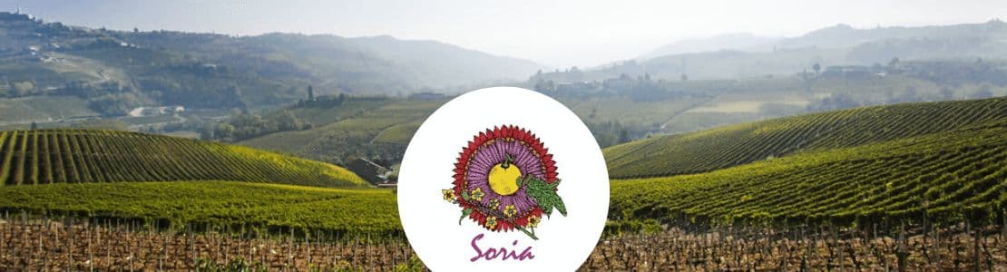 Matteo Soria