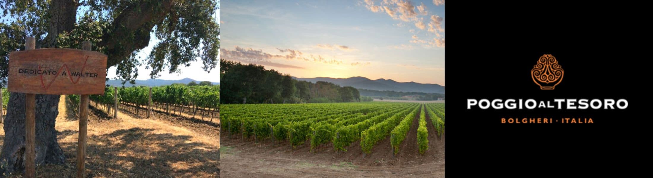 Poggio al Tesoro