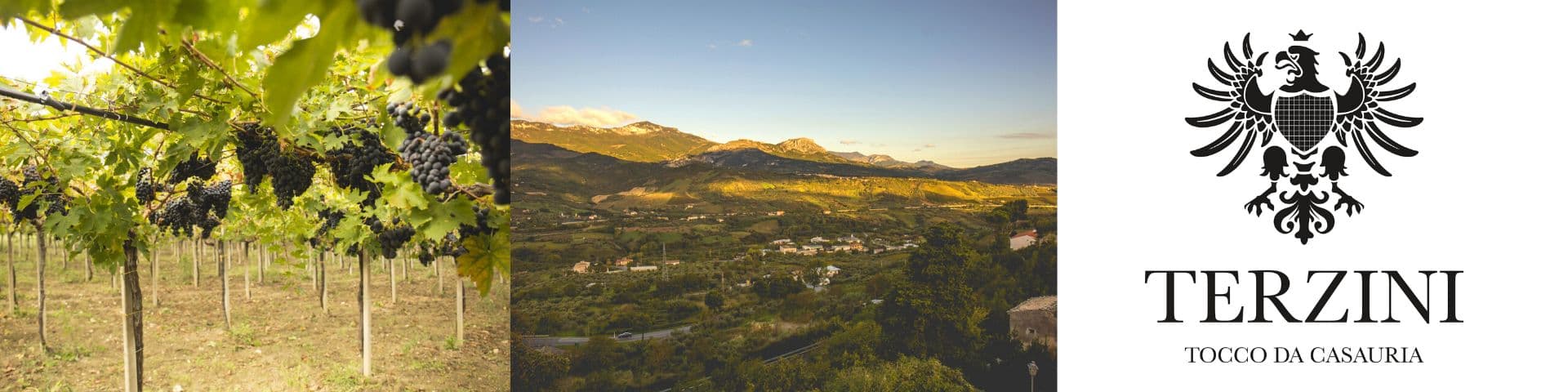 Cantina Terzini