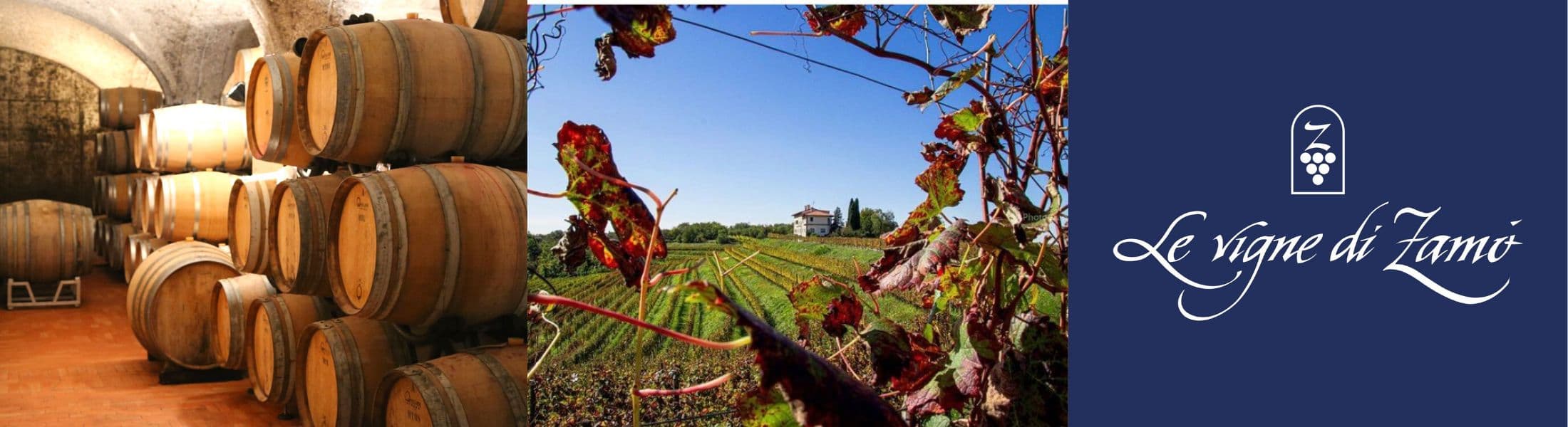Vigne di Zamò