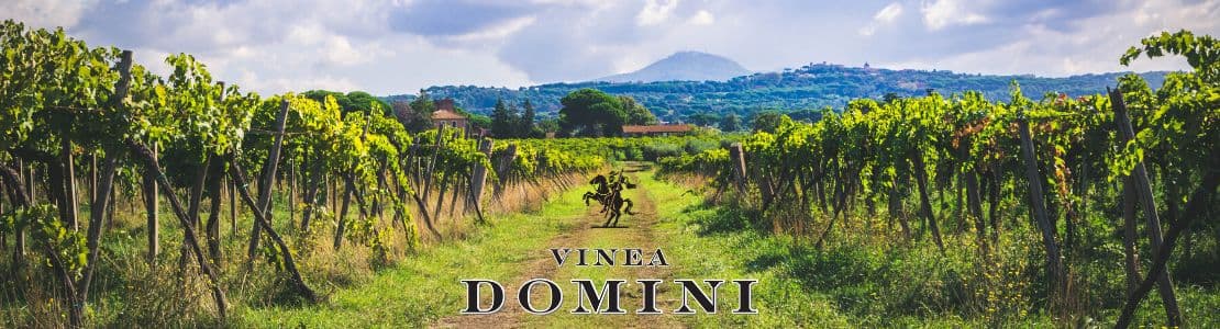 Vinea Domini