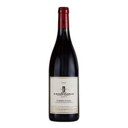 Barbera d'Alba DOC