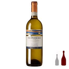 Tra Donne Sole Piemonte DOC 2014 MAGNUM