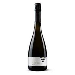 Prosecco Treviso DOC Extra Dry