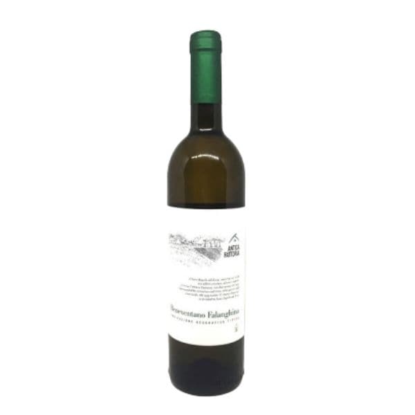 Falanghina Beneventano IGT Antica Fattoria 2018