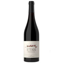 OUT OF STOCK - Tintilia del Molise DOP Settevigne 2015