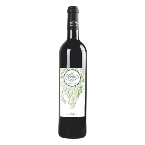 Terre Siciliane DOC Grillo Rekalbesi Gryllos 2018