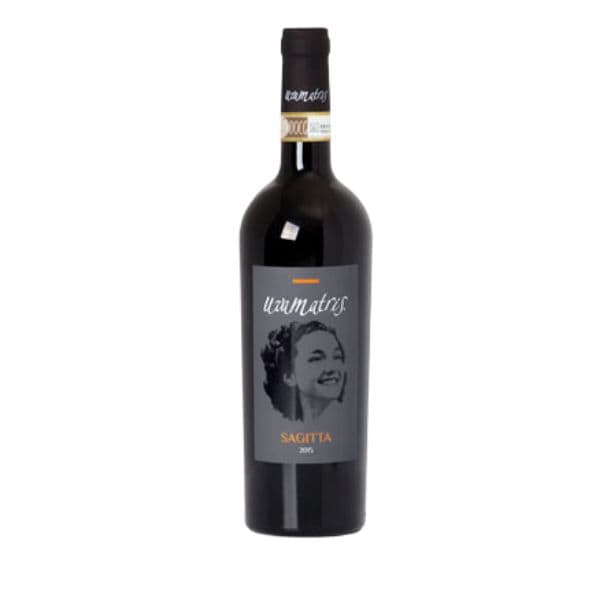 Barbera Monferrato Superiore DOCG Sagitta 2016 