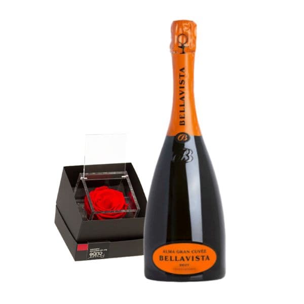 Valentine's Day - Flower Cube and Bellavista