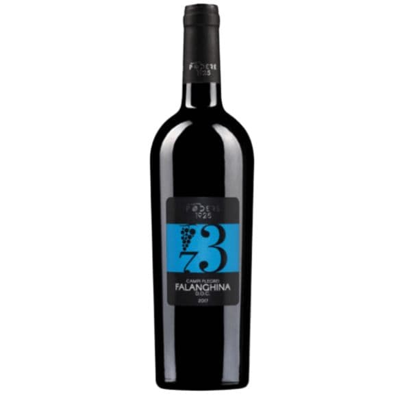 Campi Flegrei DOC Falanghina 73 2019