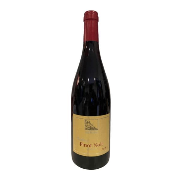 Pinot Noir Alto Agide DOC 2019