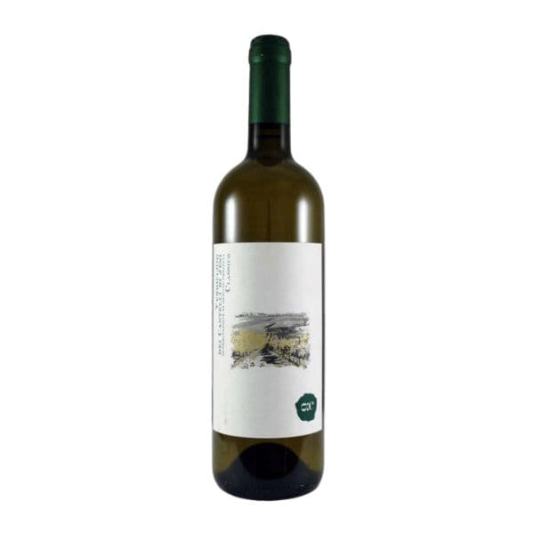 Verdicchio dei Castelli di Jesi  DOP Classico 2019