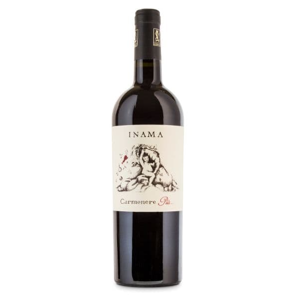 Veneto Rosso IGT Carmenere Più 2017