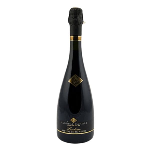 Lambrusco Emilia IGT Ottocentonero 2019