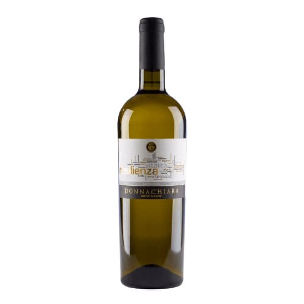Falanghina IGT Beneventano Resilienza 2019