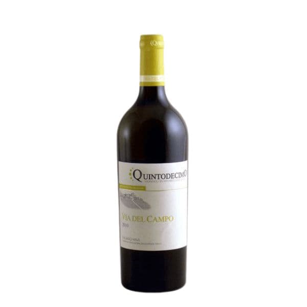 Irpinia Falanghina DOC Via del Campo 2017 