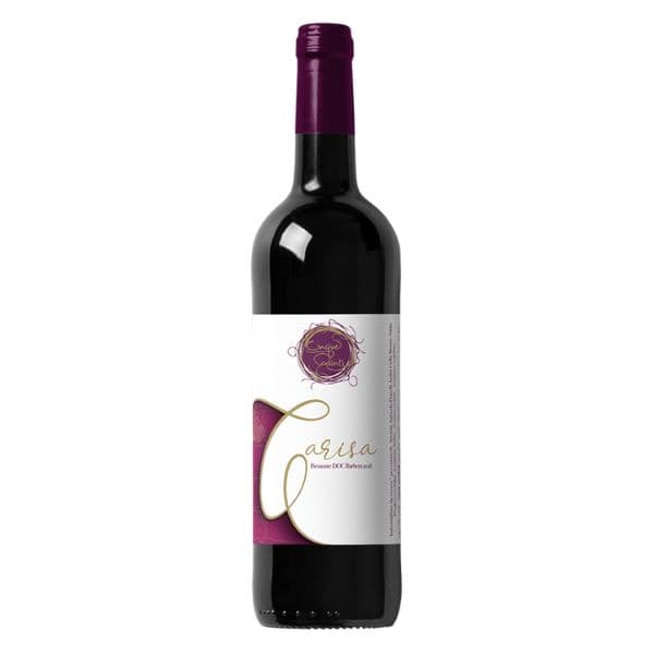 Piemonte DOC Barbera Carisa 2019