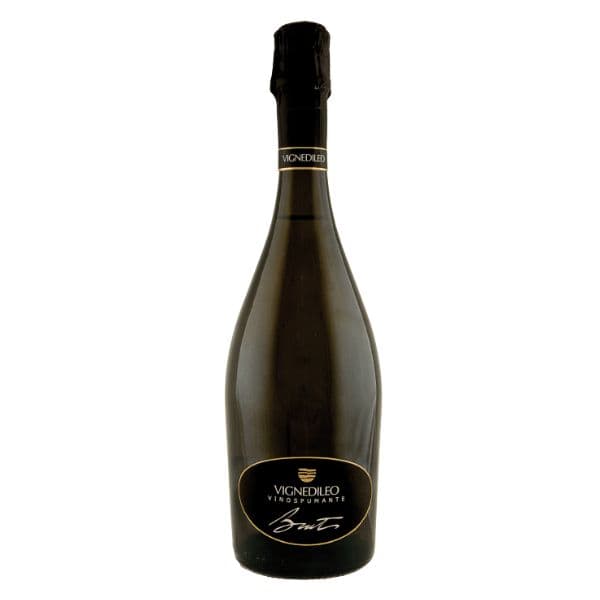 Verdicchio dei Castelli di Jesi DOC Brut Charmat Classico