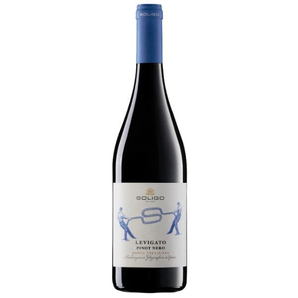 Pinot Nero Marca Trevigiana IGT Levigato 2019