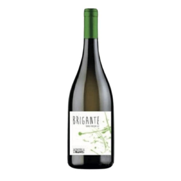 Rubicone IGP Brigante Famoso Bio 2019