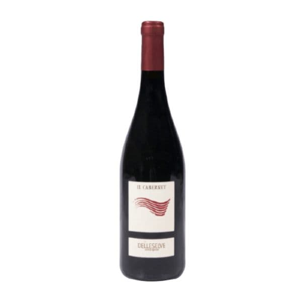 Rubicone IGP Il Cabernet Bio 2019