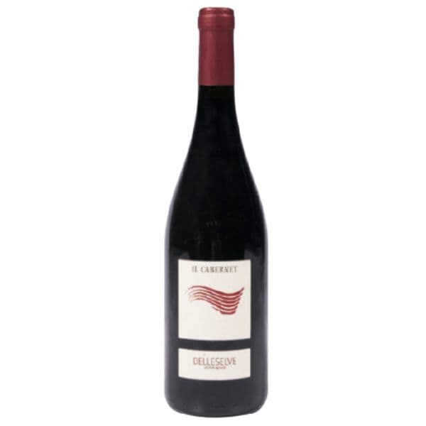 Rubicone IGP Il Cabernet Bio 2019