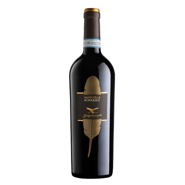 Valpolicella Ripasso DOC Classico 2019
