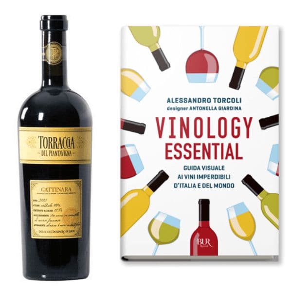 Gattinara DOCG 2017 + Vinology Essential