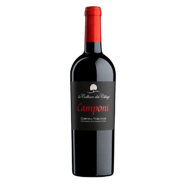 Corvina Veneto IGT Camponi 2021