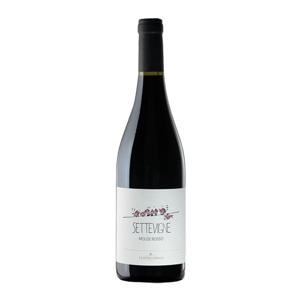 Montepulciano Settevigne Bio DOC 2013