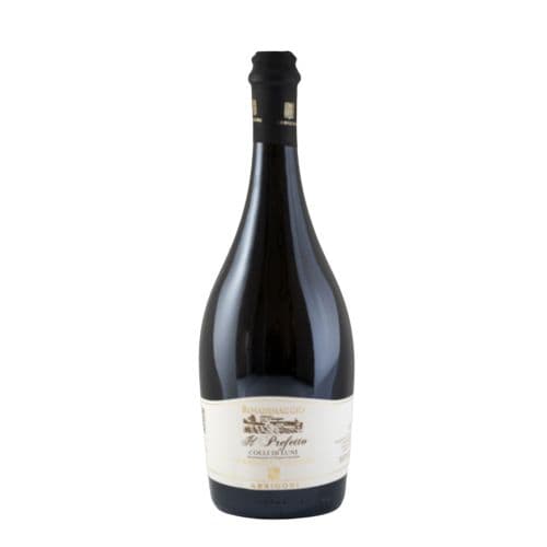 Vermentino Superiore DOC Colli di Luni Il Prefetto 2021