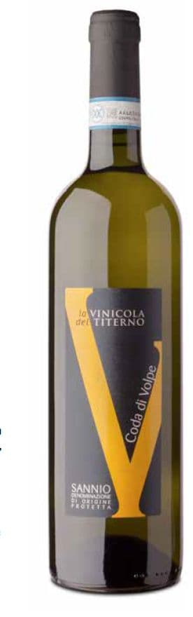 Coda di Volpe Sannio DOP - 2021