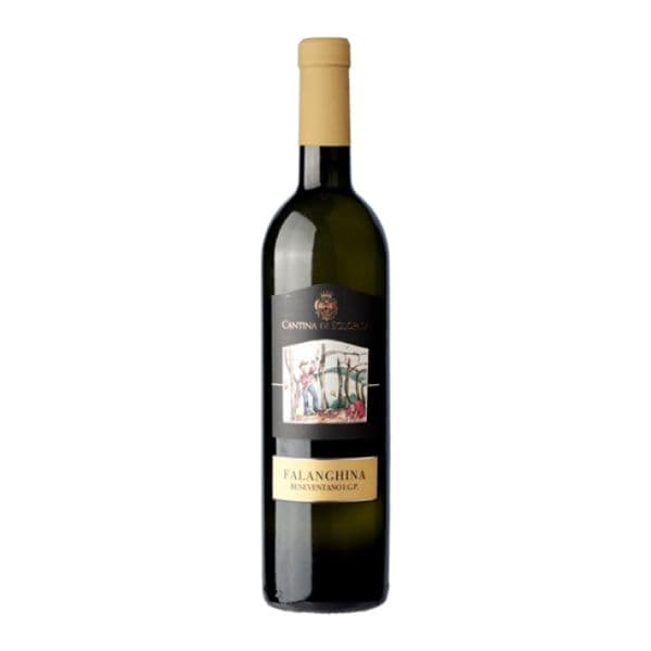 Falanghina Beneventano IGP 2021