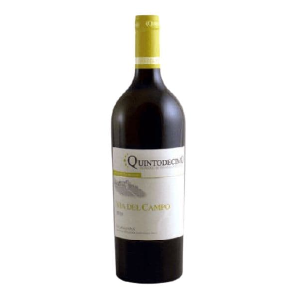 Irpinia Falanghina DOC Via del Campo 2021