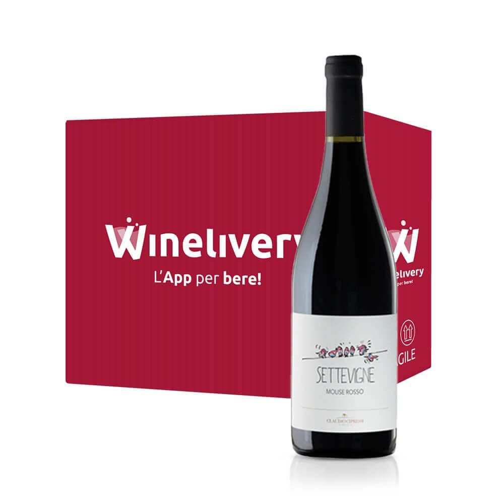 Box da 6 - Montepulciano Settevigne Bio DOC 2013
