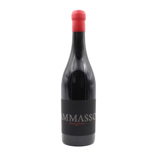 Ammasso 2019