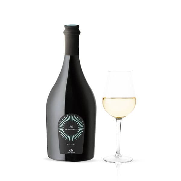 Malvasia Ferma 50 Vendemmie DOC 2021 (12,5 cl)