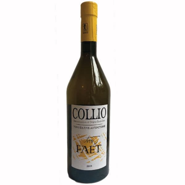 Uve autoctone Collio DOC Terre del Faet 2019