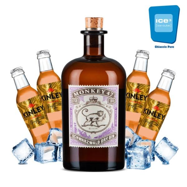 Orange Gin & Ale Cocktail Kit - per 10 persone