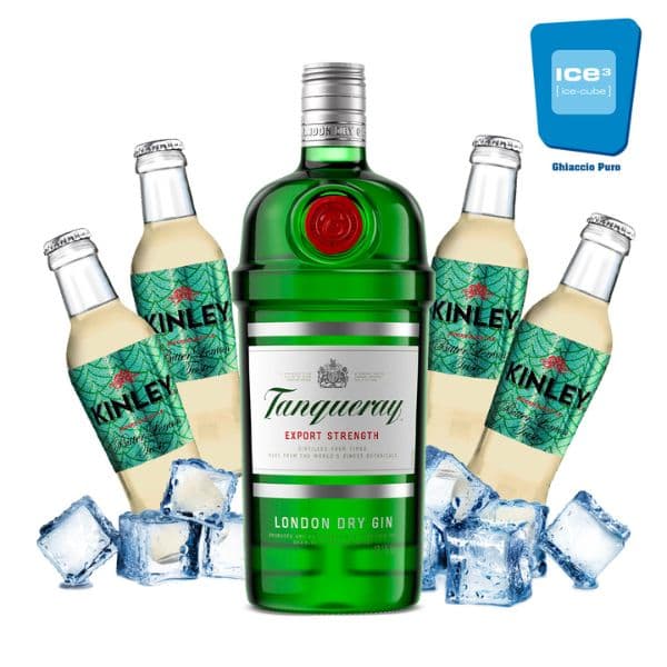 Tanqueray - Gin Lemon Kit - per 10 persone