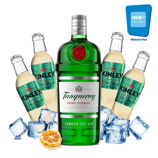 Tanqueray - Gin Lemon Kit con Limone - per 10 persone