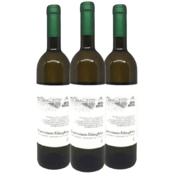 Box da 3 - Falanghina Campania IGT Antica Fattoria 2021