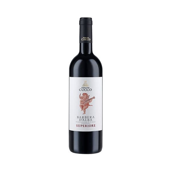 Barbera d'Alba Superiore DOC 2020