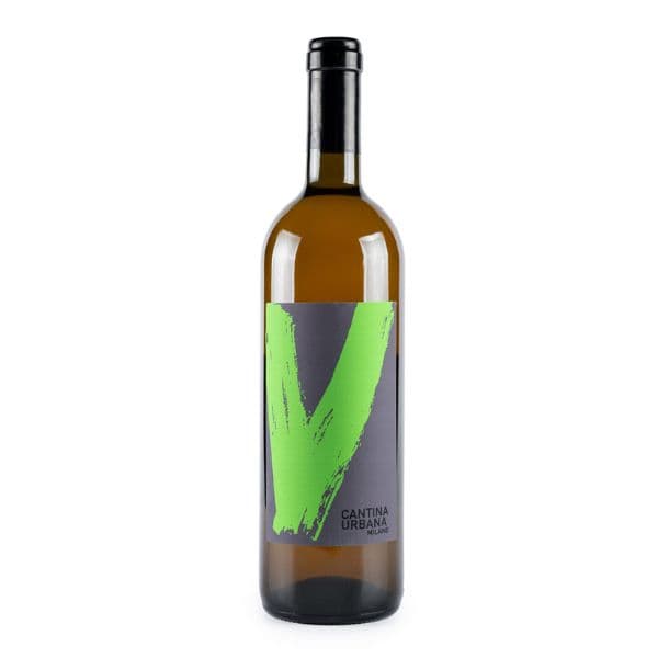 Il Vì Verdicchio Bio
