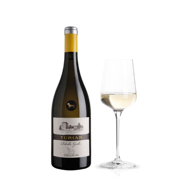 Ribolla Gialla Friuli Colli Orientali DOC Turian 2020 (12,5 cl)